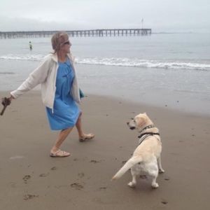 Meet your Posher, Dixie